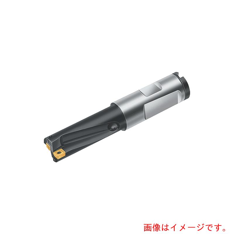 ワルタージャパン（WALTER） Ｗａｌｔｅｒ 手当て取り替えっこ式せん孔機 【品番：B3212.DF.16.0.Z01.32R】