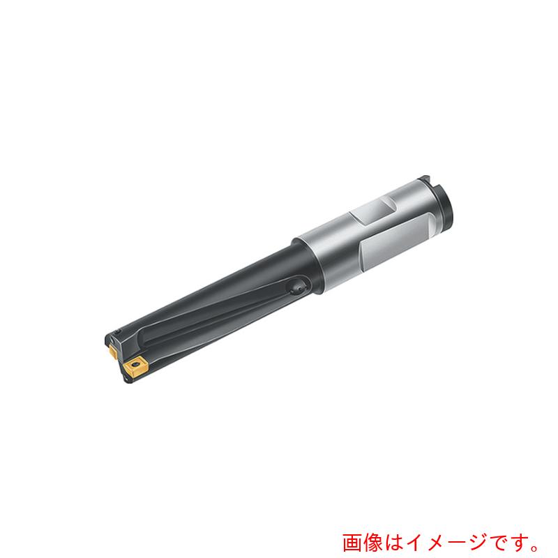 ワルタージャパン（WALTER）　Ｗａｌｔｅｒ　チップ交換式ドリル　【品番：B3214.DF.17.5.Z01.70R】