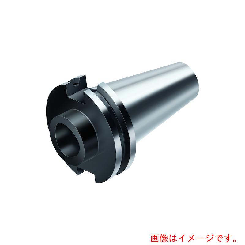 ワルタージャパン（WALTER）　Ｗａｌｔｅｒ　マスター　ＡＳＭＥ　Ｂ５．５０　Ｃ．　【品番：C8-A390B.45-50 070】