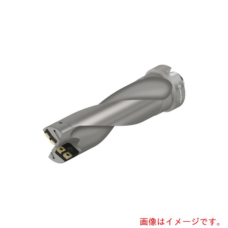 【別途送料あり】ワルタージャパン（WALTER） Ｗａｌｔｅｒ カートリッジ仕様チップ交換式ドリル 【品番：D4170-03-80.00N8-P45】