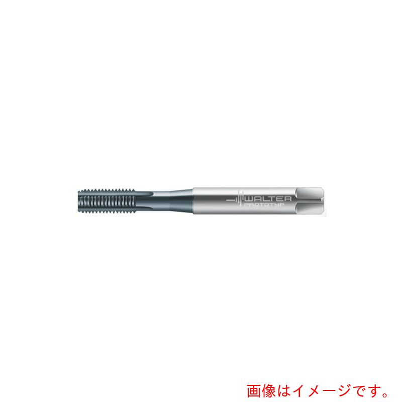 ワルタージャパン（WALTER） Ｐｒｏｔｏｔｙｐ 器械水道栓 【品番：E2031466-M6】