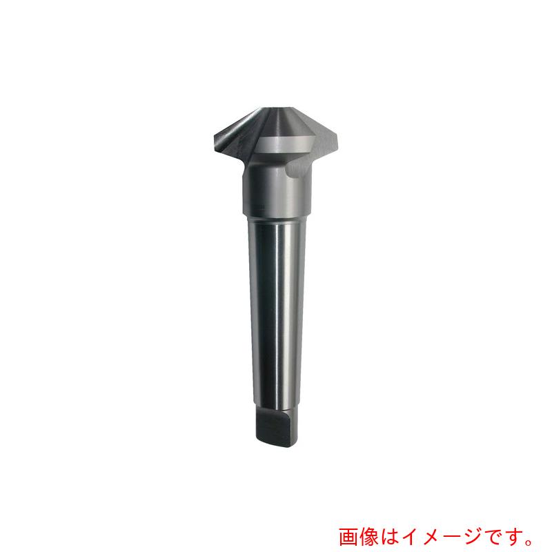 WEBA WEBA ＨＳＳカウンタシンク Ｎｏ．１９１２０－０－ＭＴ １２０°３枚刃 ＨＳＳ ＭＴシャンク 【品番：19120-0-31.5MT】