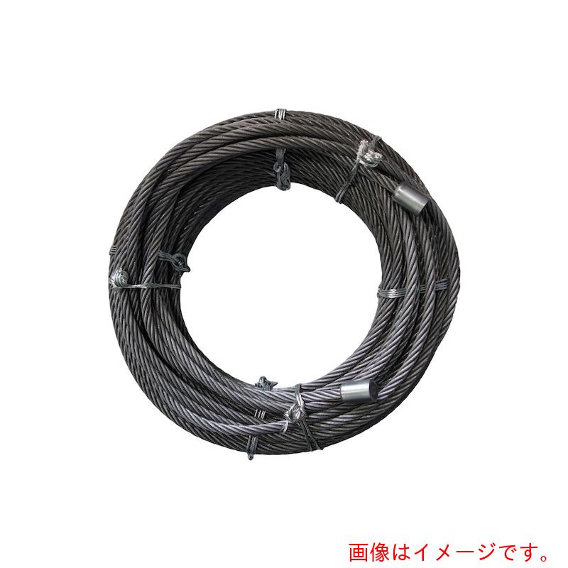 大綱(DAIKO) 三菱ホイスト交換用ワイヤ 2.8t 2本掛 6m 【品番:MH-28206】|住設プロ 店