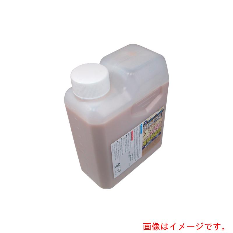 柳瀬（YANASE）　液体研磨剤　サビ取り・汚れ落し用　１ｋｇ　【品番：YHK10-50】