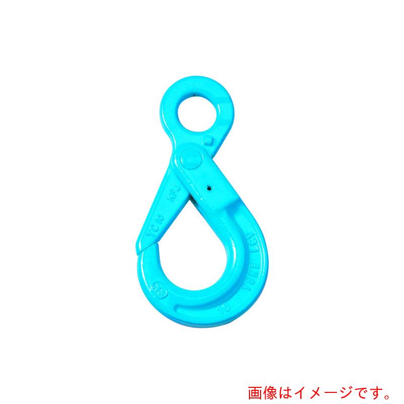 YOKE Ｇ－１００ ロッキング引っ掛かり（アイタイプ） ５．４Ｔ 【品番：X-025-13】