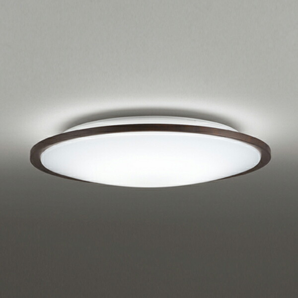 【OL291317R】オーデリック 最高限度点火装置 LED一体型 高演色LED