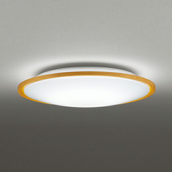 【OL291325R】オーデリック 最高限度点火装置 LED一体型 高演色LED