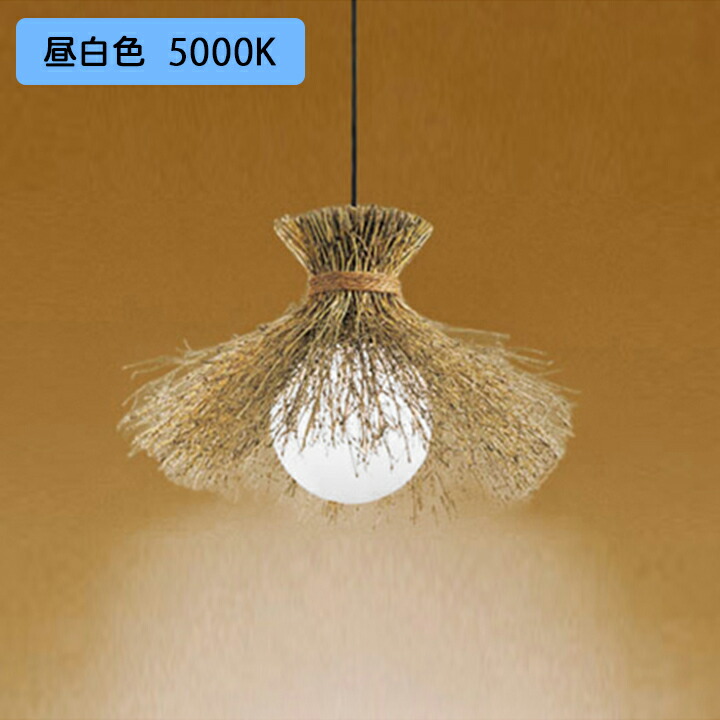 【OP035303NR】オーデリック 和風照明 ペンダントライト 60W LED 昼白色 調光器不可 ODELIC