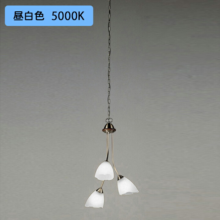 【OC079264NR】オーデリック シャンデリア 電動昇降装置対応 100W LED 昼白色 調光器不可 ODELIC