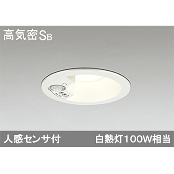 【OD261838R】オーデリック エクステリア 落ちこむ点火装置 LED一体型 ODELIC