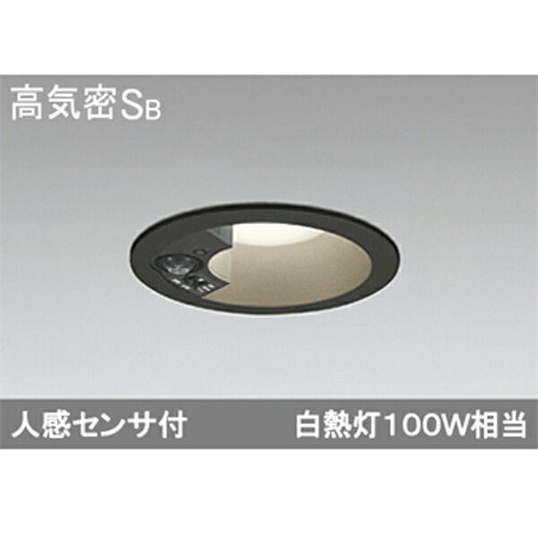 【OD261840R】オーデリック エクステリア 落ちこむ点火装置 LED一体型 ODELIC