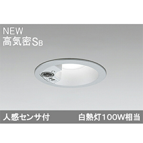 【OD261994R】オーデリック エクステリア 落ちこむ点火装置 LED一体型 ODELIC