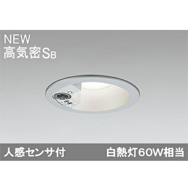 【OD261997R】オーデリック エクステリア 落ちこむ点火装置 LED一体型 ODELIC
