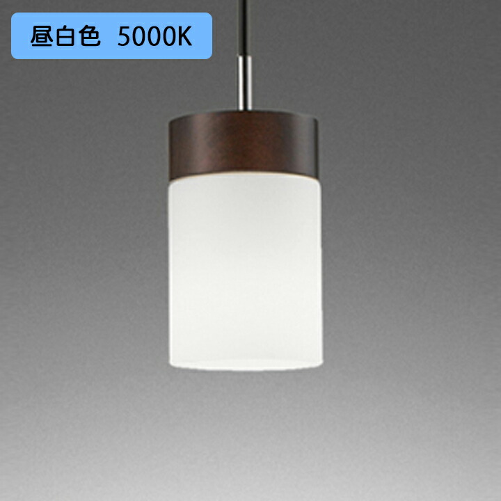 オーデリック ペンダントライト 100W 白熱灯器具 LED 昼白色 調光器不可 ODELIC ＜セール＆特集＞