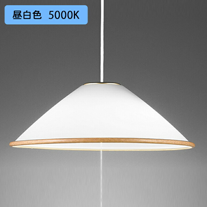 【OP087317NR】オーデリック ペンダントライト 100W LED電球ボール球形 昼白色 調光器不可 ODELIC