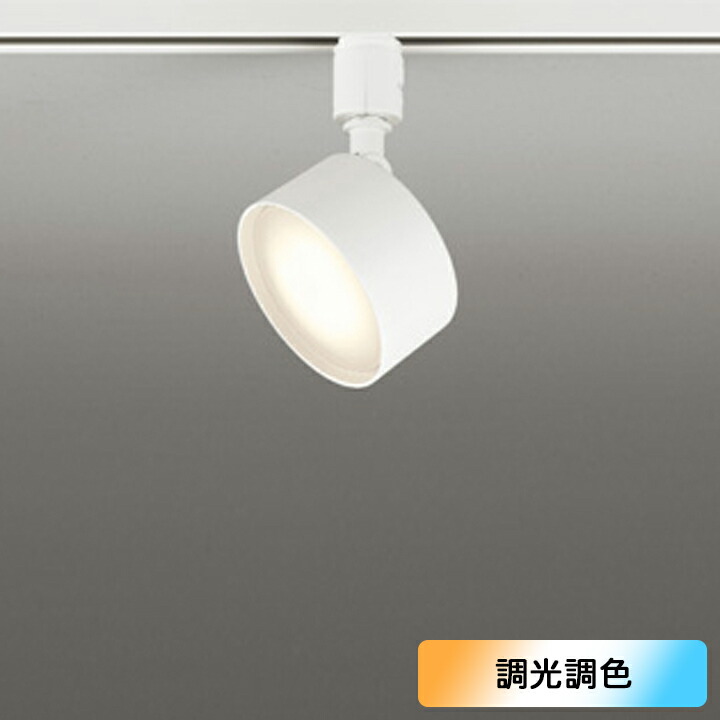 【os256571RG】オーデリック 注目の的 壁面開びゃく LED109°鳴りひびく配光 白熱電球-昼光 調色・調光器不可 制御装置別売 (精神的な統合：os256571#×1) + (NO273DB×1)