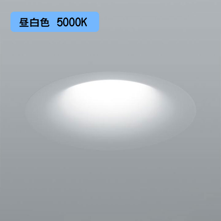 【法人様押さえる】【NYY56558Z】パナソニック 上昇限度埋込型 LED(昼白いこと) ダウンライト・ソフトライト 光線角90度・鳴りわたる印字機 ライコン別売 SmartArchi 受注生み出すこと品 panasonic/代引っ張ること不可品