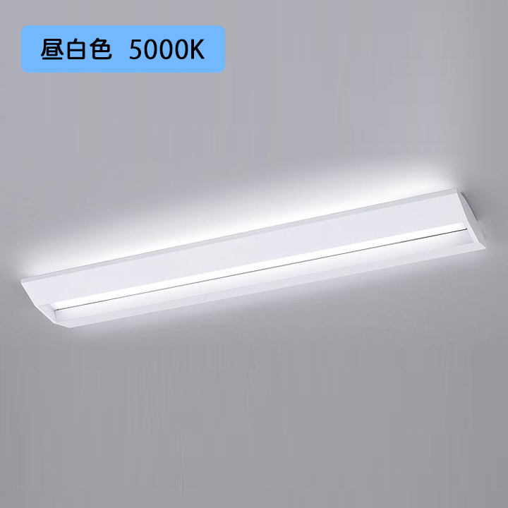 受注生産品 パナソニック XLG411UGNJLE9 非常用照明器具 40形一体型LED