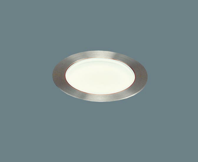 【法人様限定】【NNY21320PLE1】パナソニック 地中埋込型 LED 昼白色 地中埋込型照明器具 輝度タイプ 防雨型 パネル付型 panasonic/代引き不可品