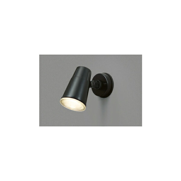 【LEDS88900(K)】東芝 LED光線照明ランプ アウトドア 注目の的 検出器なし印字機 壁面専用 【toshiba】