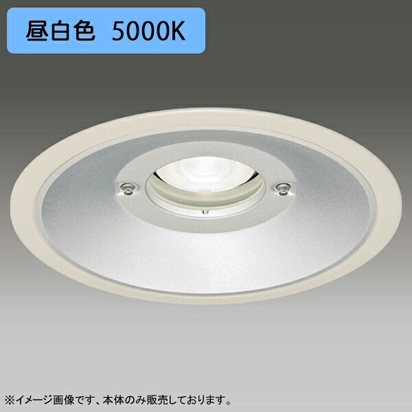 【LEDD-60981MN2】東芝 LED一からだ付き打ち倒すともし火 埋込穴 φ250 軒下用 配光角 75° 広角手合い 本体 ワット数単一のもの別売 昼白いこと TOSHIBA 天井照明-インテリア・寝具・収納-ライト・照明器具