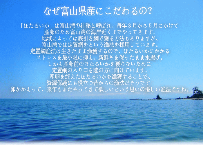 日本海産ほたるいか素干し25g入り×3袋メール便送料無料魚系おつまみお試しいかイカホタルイカ素干しDM便発送コロナ応援食品訳ありお取り寄せグルメ食品ロス在庫処分