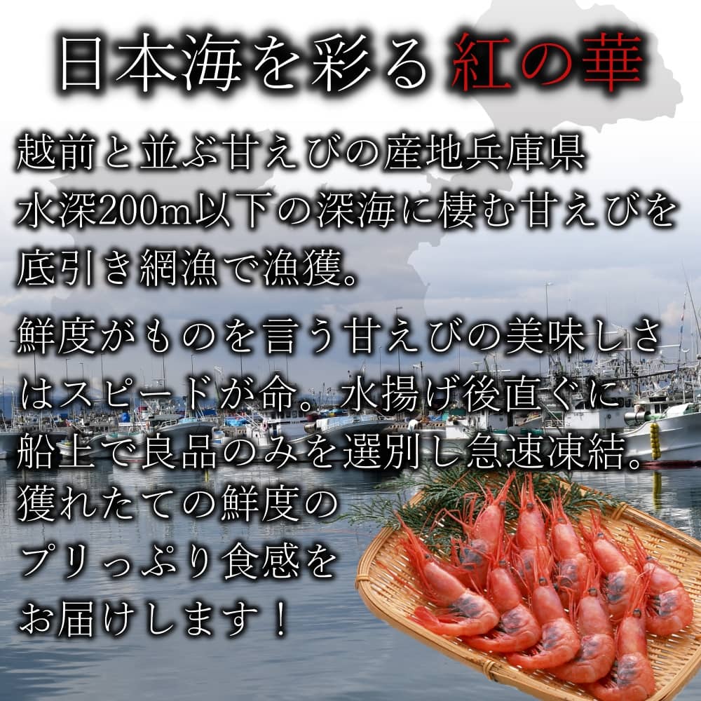 楽天市場 お買い物マラソン 00円off 日本海産お刺身用 甘えび 800g前後 約55尾入 甘エビ 業務用 訳あり サイズ小さめ あまエビ 甘海老 甘エビ あまえび アマエビ 無添加 送料無料 十文字屋商店 楽天市場店