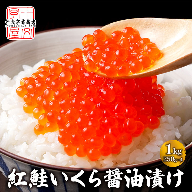 Dymocks大粒鮭いくら醤油漬け 雪国物語 / 北海道産！大粒鮭いくら醤油漬け 500g【送料別】