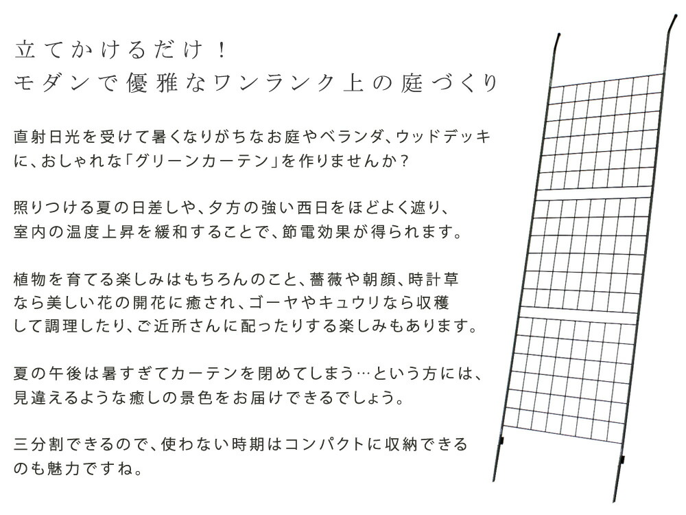 アイアン製新緑の色覆い布 図表 2枚組み 貨物輸送無料 屏 アイアン グリーンカーテン ゴーヤ ローズ 薔薇 アサガオ 園 廻廊 ガーデニング 型 垣 部分 覆 境 アンティーク トレリス 園芸 ラティス おんも 父さんの日時 Digitalland Com Br