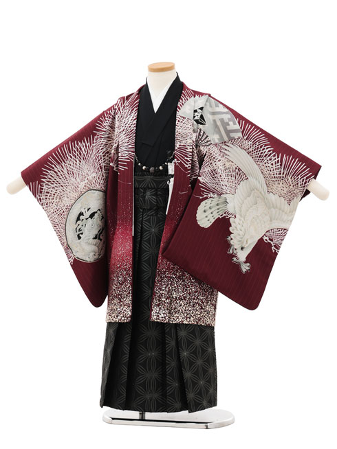 【賃借】お召しもの かんたん七五三(5歳男袴)X662 JAPAN STYLE ボルドーワイン針松に鷹×黒 5歳 袴（飾り気の無い着付け） フルセット お坊っちゃん 儀式用着 正月 5才 お坊っちゃん きもの賃借〔往復貨物輸送無料〕