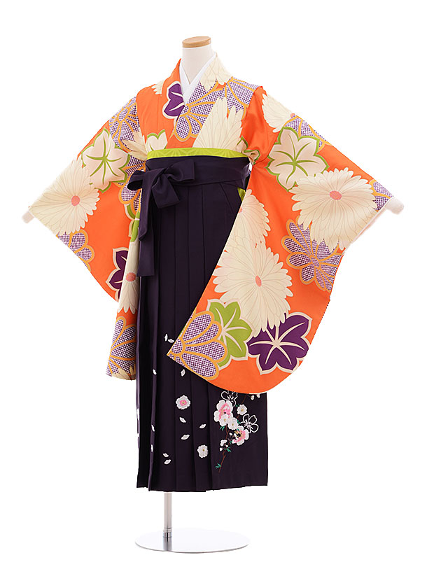 小学生 袴 キッズファッション レンタル 着物セット 小学生卒業式袴レンタル 女の子 9619オレンジ菊 パープル袴 袴レンタル小学校卒業式 卒業式袴セット小学生 小学校卒業式 袴セット 往復送料無料 新品足袋プレゼント 小学生卒業式袴女の子 小学生 袴 キッズファッション レンタル 着物セット 小学生卒業式袴レンタル 女の子 9619オレンジ菊 パープル袴 袴レンタル小学校卒業式 卒業式袴セット小学生 小学校卒業式 袴セット 往復送料無料 新品足袋プレゼント 小学生卒業式袴女の子