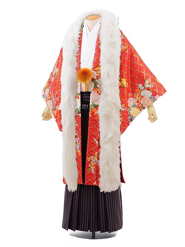 成年者式 袴 賃貸 盛りだくさん 紋付き袴 男袴 1af0106 袴賃貸男 (171糎～175糎)成年者式 卒式 メンズ袴 フルセット 往復貨物輸送無料  羽織袴賃貸 御召しもの賃貸 袴賃貸 成人男性御召しもの 二十歳 正月 着物 20 1月 【賃貸】