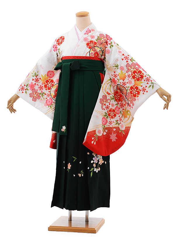 卒業式 袴 レンタル 女 女性 レンタル 卒業袴レンタル h496 白地 桜に鼓×グリーンぼかし袴 卒業式袴セット 着物 レンタル 二尺袖 着物 袴 フルセット 女性 大人 大学生 専門学生 卒業式 謝恩会 新品足袋プレゼント 往復送料無料【レンタル】 10,360円