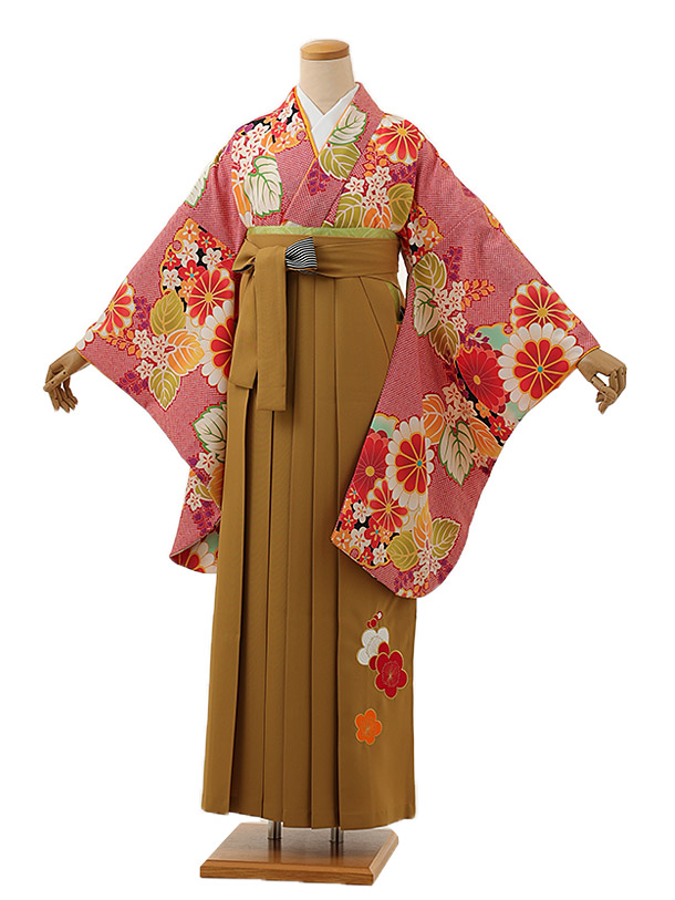 卒業式 袴 レンタル 女 女性 レンタル 卒業袴レンタル h1387 赤疋田柄桐菊x金茶 着物 レンタル 二尺袖 着物 袴 フルセット 女性 大人 大学生 専門学生 卒業式 謝恩会 新品足袋プレゼント 往復送料無料【レンタル】 13,860円