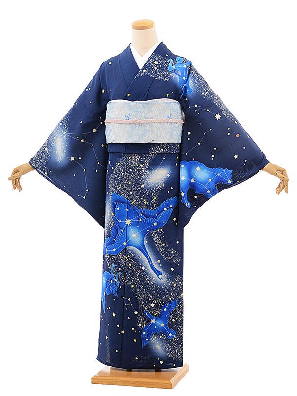 夏 サマー 夏訪問着レンタル 絽 833 紺地 天の川 星座(化繊) 新品足袋プレゼント 入学式 結婚式 お宮参り 七五三 お茶会 付下げ 往復送料無料 貸衣装【レンタル】