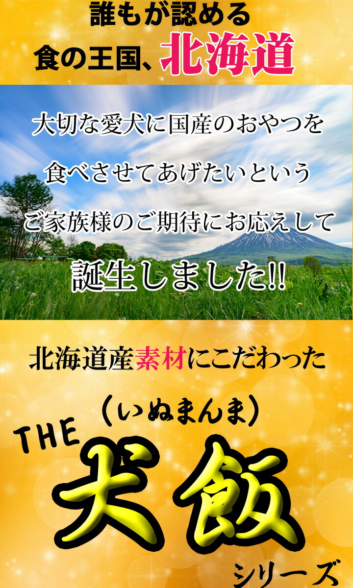 与え ドッグフード 犬のおやつ 犬 おやつ 北海道産 国産 牛肉細切りジャーキー 無添加 ペット プレゼント Mediquickfl Com 与え ドッグフード 犬のおやつ 犬 おやつ 北海道産 国産 牛肉細切りジャーキー 無添加 ペット プレゼント Mediquickfl Com