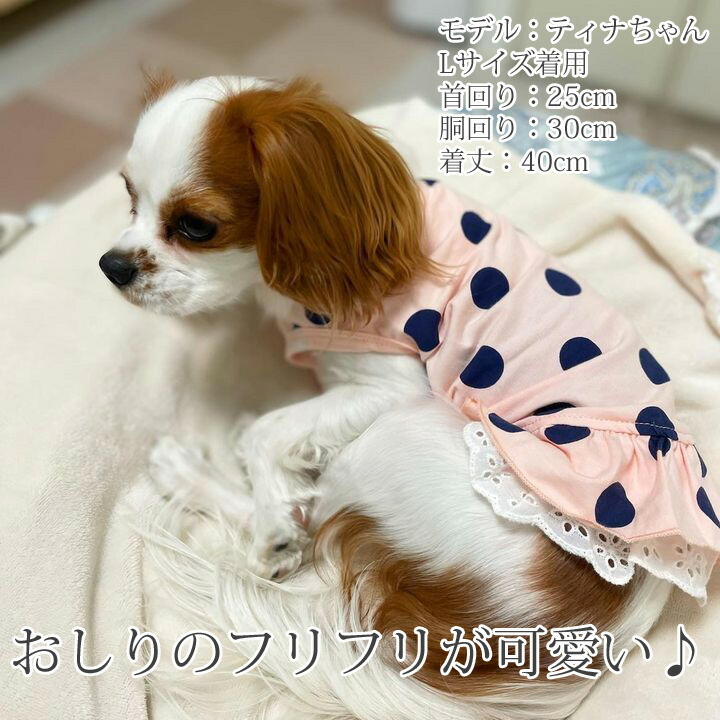 高品質新品 いぬ ショート丈 犬の服 かわいい ドット柄 フリル ワンピース 1着半額クーポン 袖なし 服 涼しい タンクトップ 暖かい ドッグウェア  犬服 レース 女の子 犬 袖無し ふりふり 春 犬用品