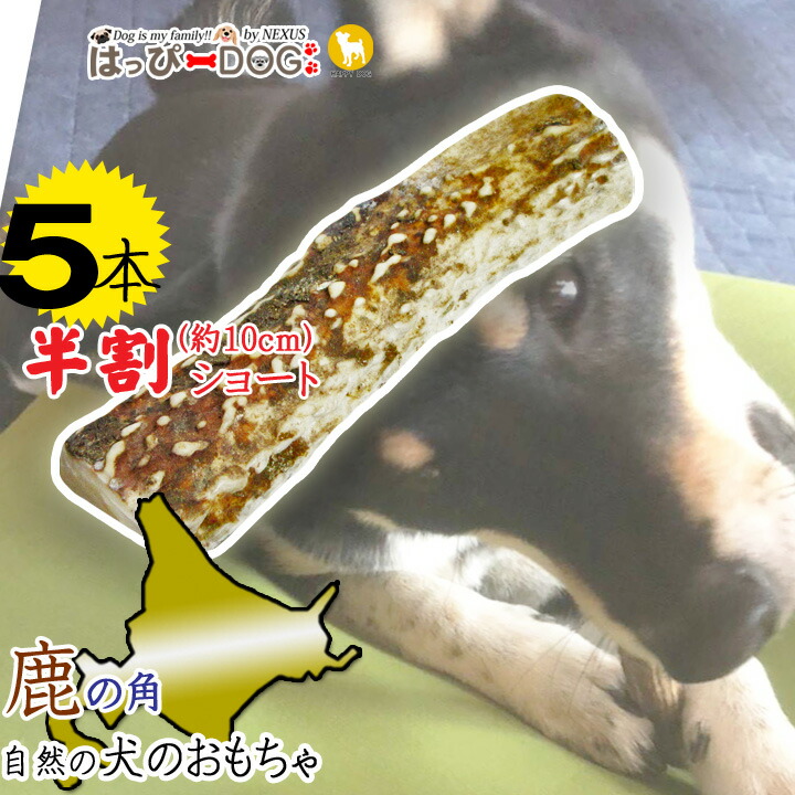 楽天市場】【今だけP5倍】 鹿の角 鹿角 北海道産 エゾシカ 犬の