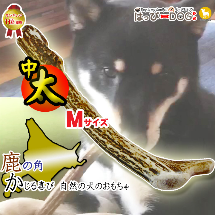 鹿の角 鹿 角 Mサイズ 北海道 国産 鹿角 犬のおもちゃ 犬のおやつ 犬 いぬ イヌ 犬用 噛む おもちゃ おやつ ドッグガム デンタルケア デンタル効果 蝦夷鹿の角 鹿 角 口臭対策 いたずら防止 ペット プレゼント 誕生日 150 Ge