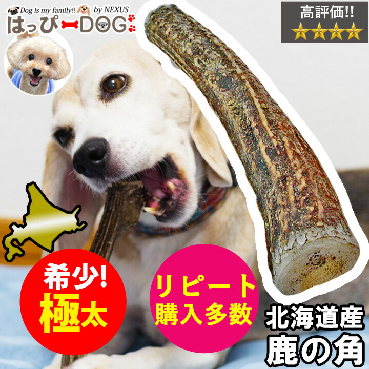 楽天市場 愛犬やみつき 鹿角 犬 おもちゃ cm 中型犬 小型犬 楽天ランキング1位 鹿の角 鹿 角 半割ロング 北海道 国産 鹿角 犬のおもちゃ 犬 いぬ イヌ 犬用 噛む おやつ ドッグガム デンタルケア デンタル効果 口臭対策 無添加 壊れない ペット プレゼント 誕生日