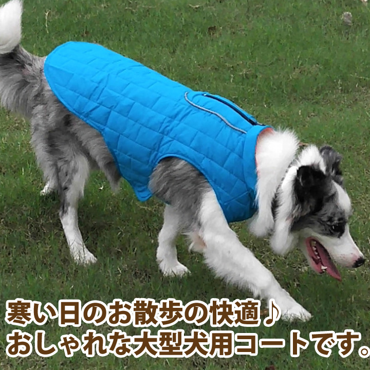 マラソン限定！ポイント5倍 犬服M - 通販 - lasminas.gob.mx