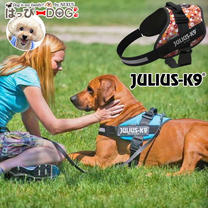 ハーネス 犬 Julius-K9 ユリウスケーナイン ＩＤＣパワーハーネス 小型犬 中型犬 大型犬 子犬 ハーネス犬用 犬のハーネス 胴輪 シニア犬 【秋 冬 秋冬 秋服 冬服 秋物 冬物 秋服】