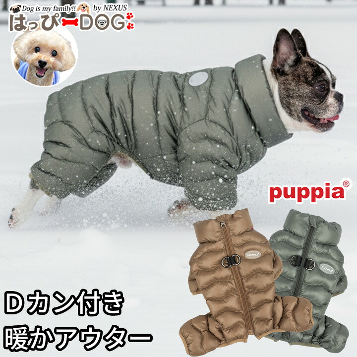 首に分かりやすい心積もりの馬具