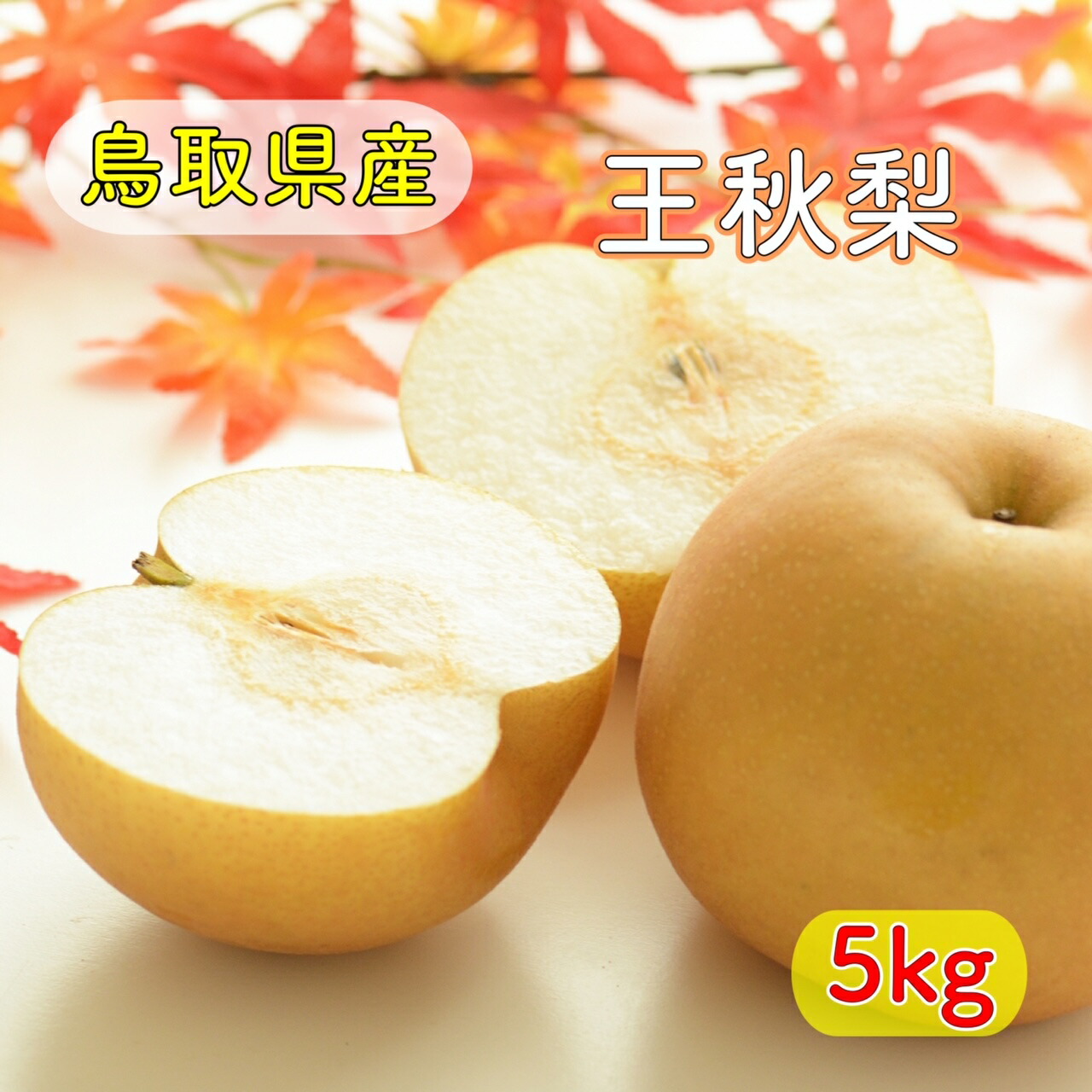 楽天市場】梨 特選 3kg標準箱 送料無料 なし ナシ 幸水 豊水 秋の味覚