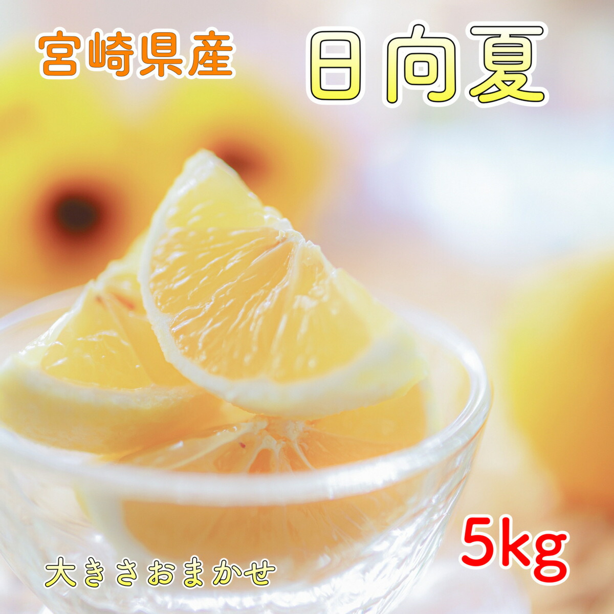 楽天市場】宮崎県産 日向夏 「日向夏ちゃん」 A等級 M〜Lサイズ 5kg