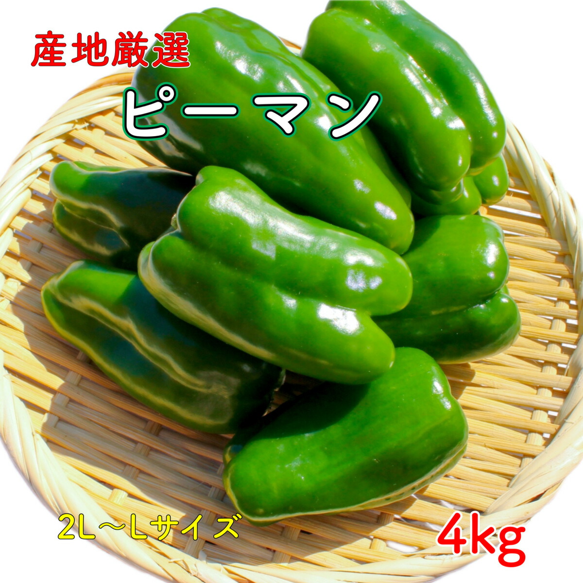 右近　高知県産ピーマン15キロ 右近様専用 高知県産ピーマン15キロ送料込み - メルカリ