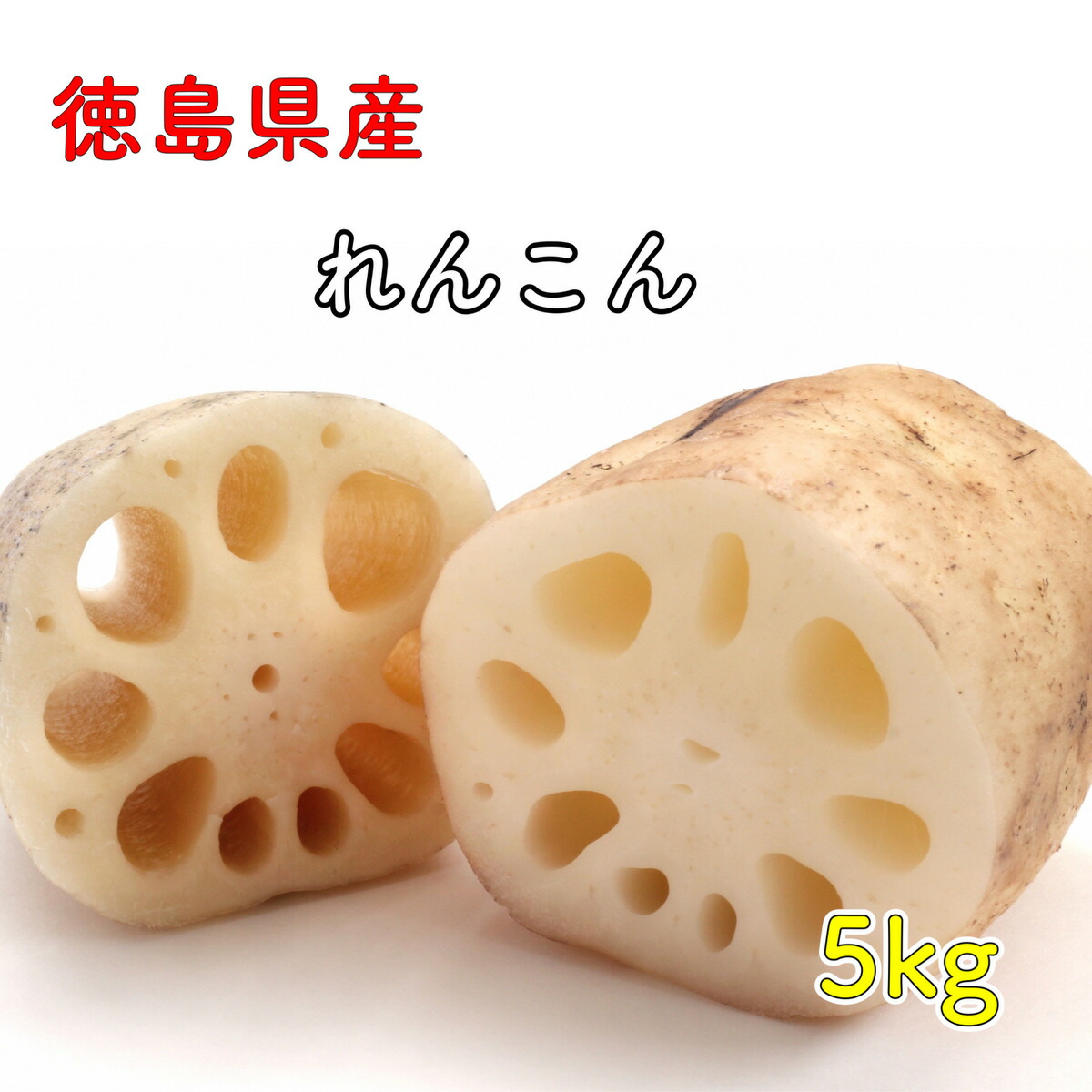 徳島県産 れんこん レンコン 洗いれんこん 蓮根  野菜  徳島県産 5kg ポイント消化 楽天市場 ログイン 購入履歴 お正月 おせち料理 縁起物 楽天市場 ログイン 購入履歴 野菜 送料無料（一部地域省く）５キロ
