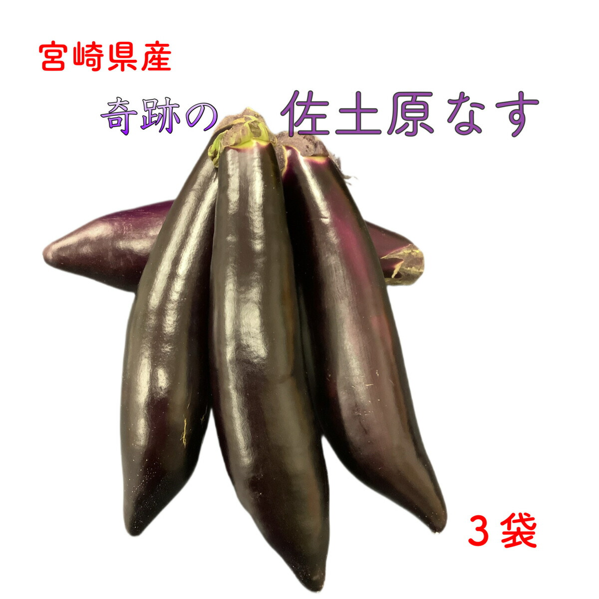 美しい栃木県益子焼アート工芸品なすナス茄子デザイン 美しい栃木県益子焼アート工芸品なすナス茄子デザイン - メルカリ