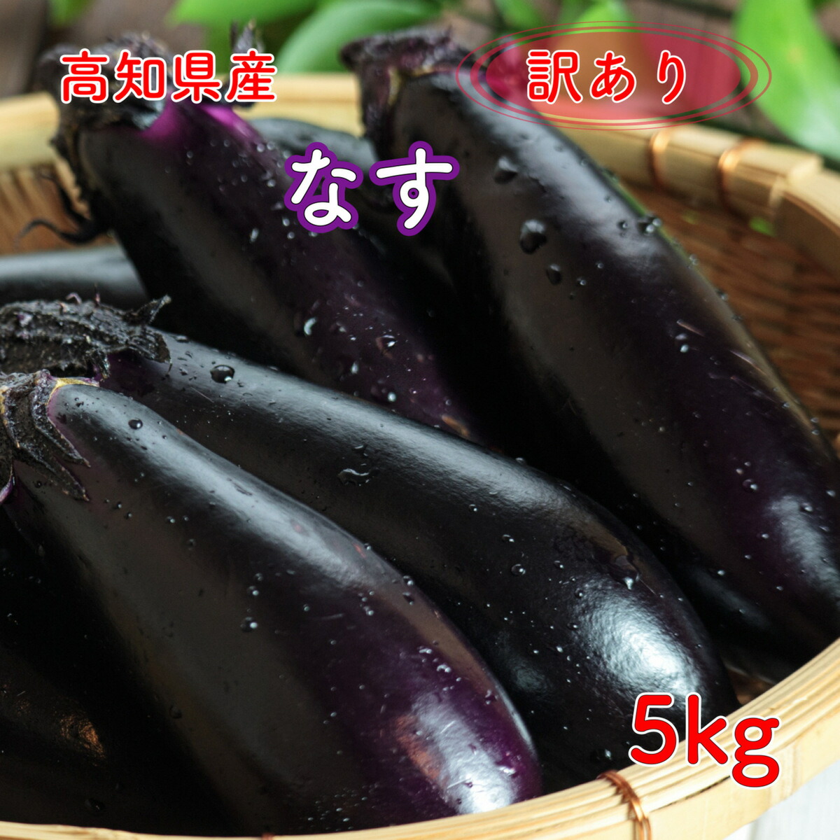 なすびー compass1677318655.jpg