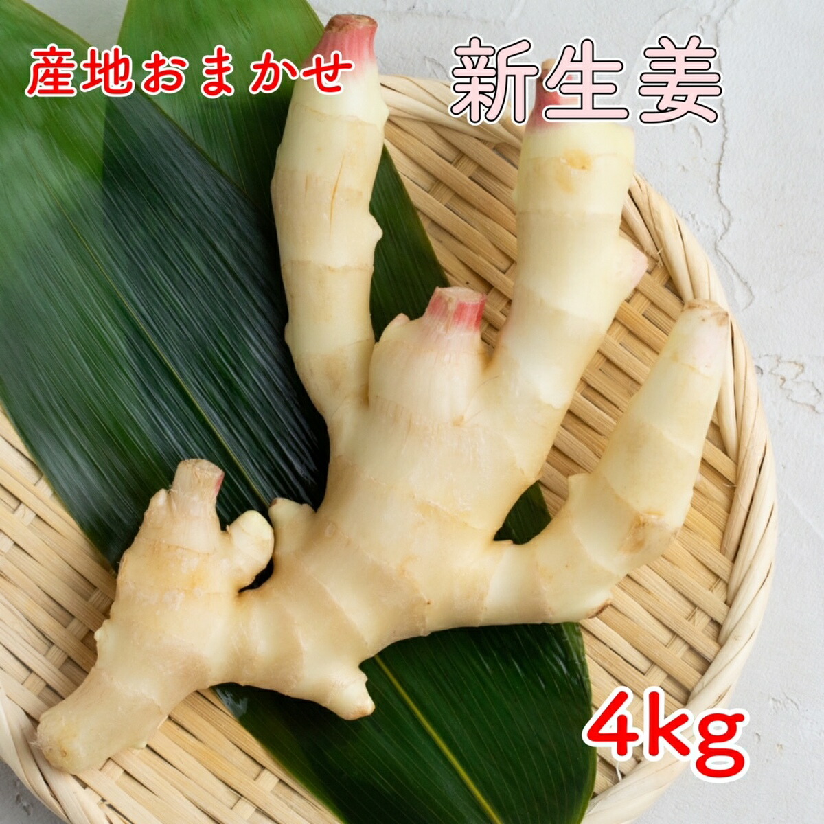 高知・和歌山県産  新しょうが  A品 秀品 Lサイズ 4kg 新生姜  生姜  しょうが クール発送【送料無料（一部地域省く）】 お酒あて グルメ 贈り物 楽天市場 ログイン 購入履歴　野菜